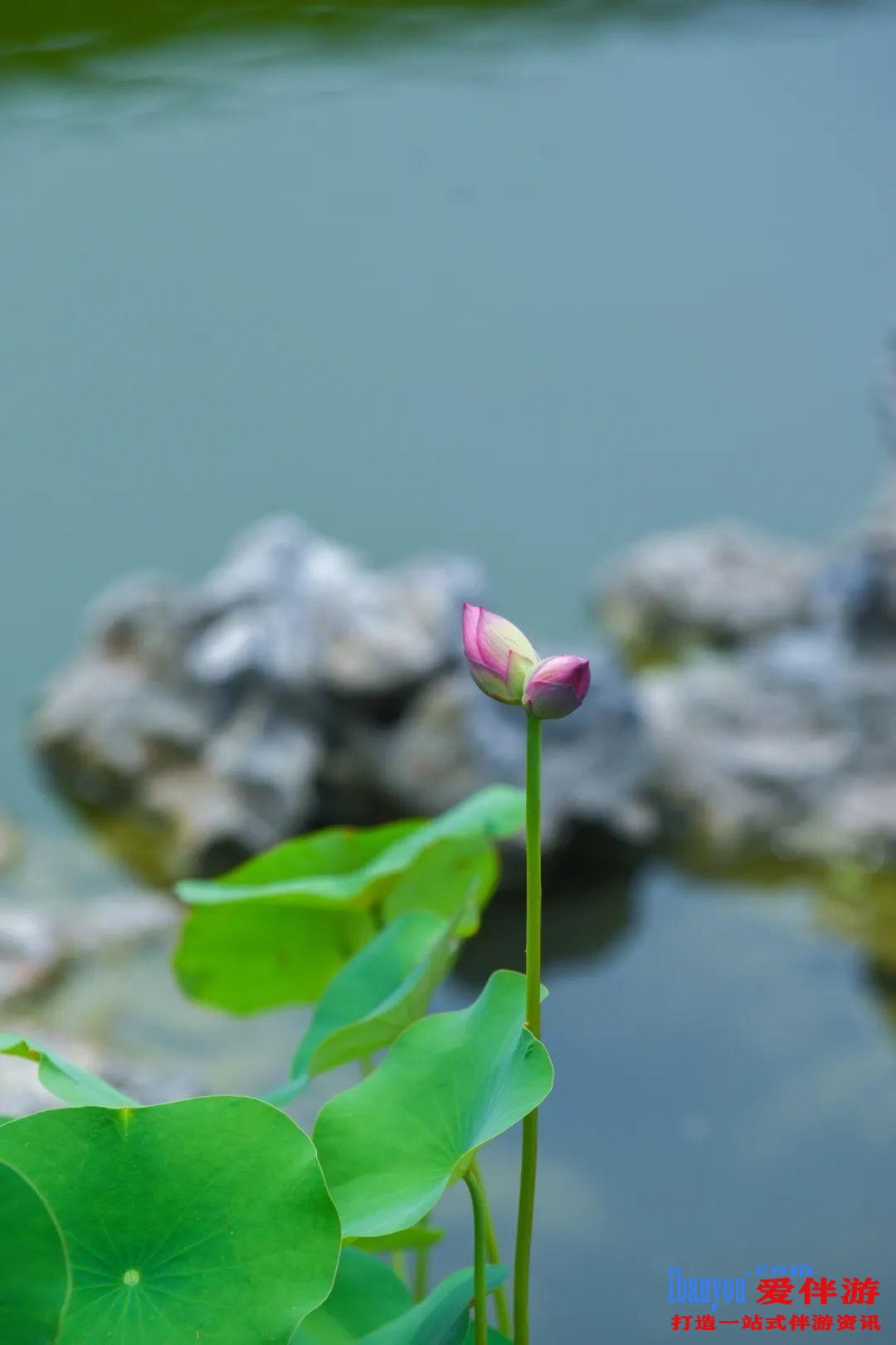 20201102100304_40877.jpg